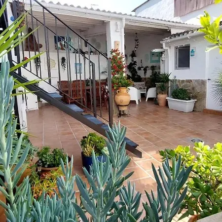 El Buen Ocio Vt 49856v
